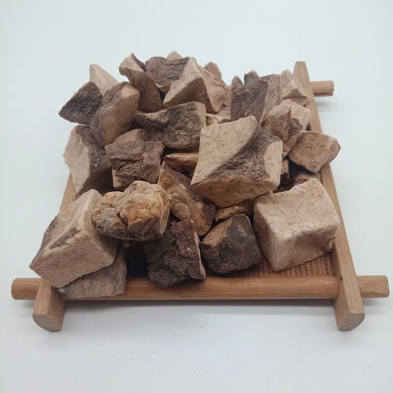 Radix Polygoni Multiflori