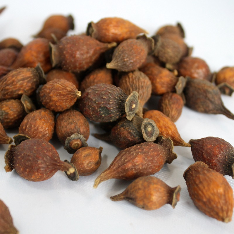 Jin Ying Zi Factory Supply Herbal Fruit of Cherokee Rose