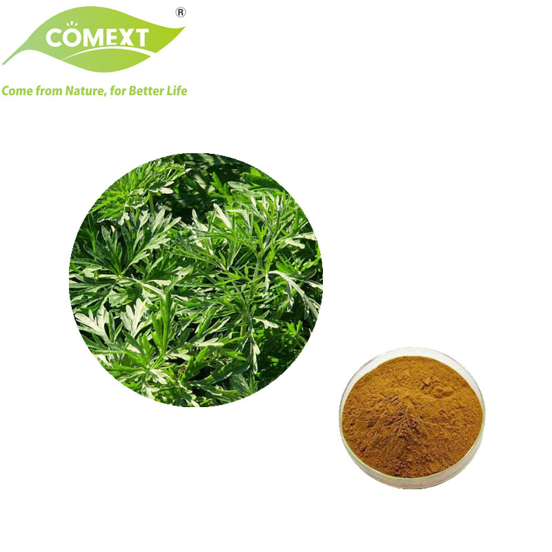 Comext Chinese Herbal Factory Dried Sweet Wormwood Herbs Artemisia Capillaris for Medicine Use