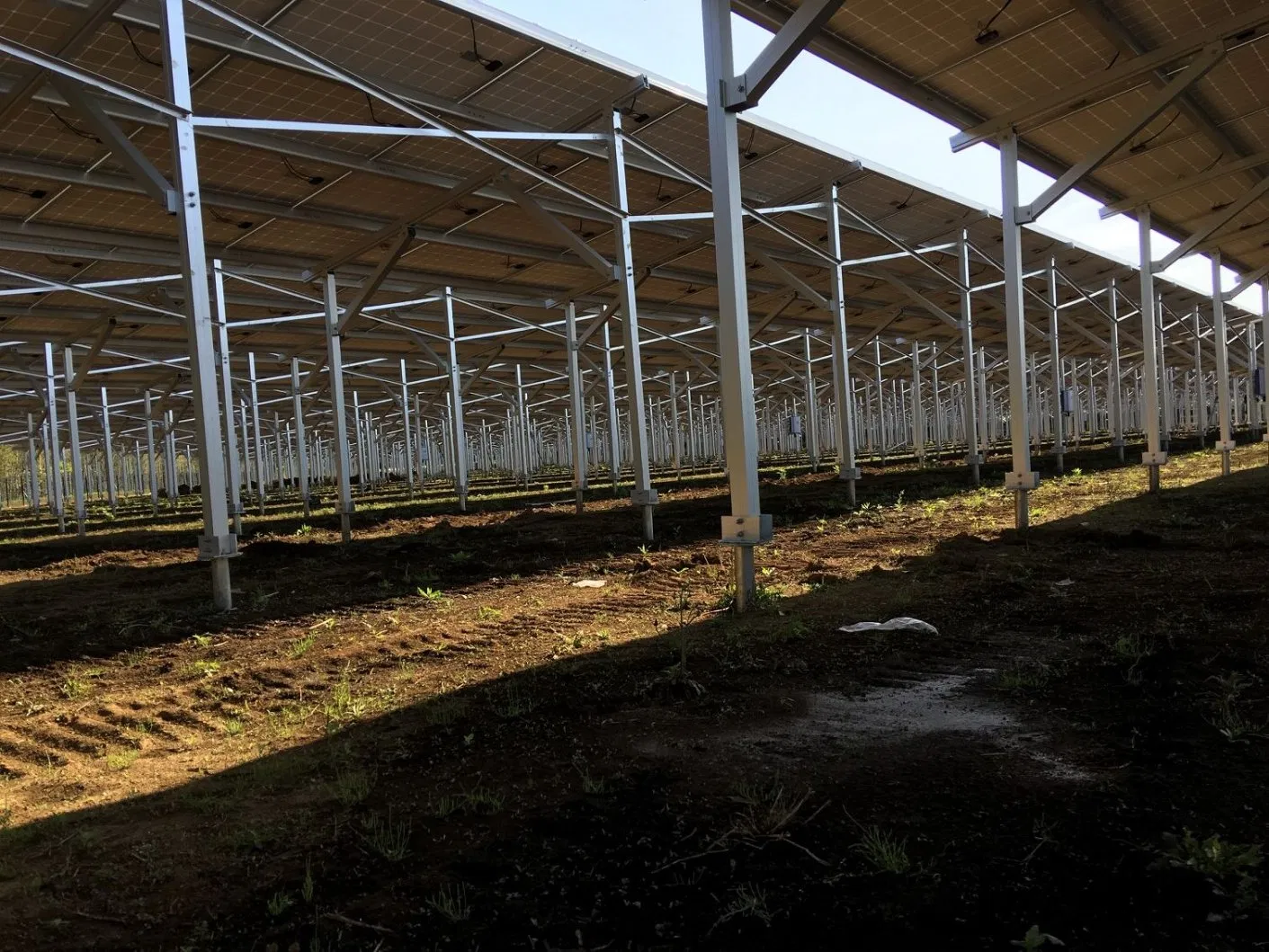 High Quality Two Leg Solar Strut Double Pole PV Solar Farm Ground Mount Bracket