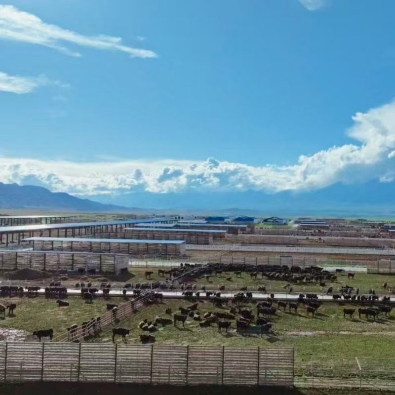 Lightweight Farm Solar Mounting System Installation Kit with High Structural Strength