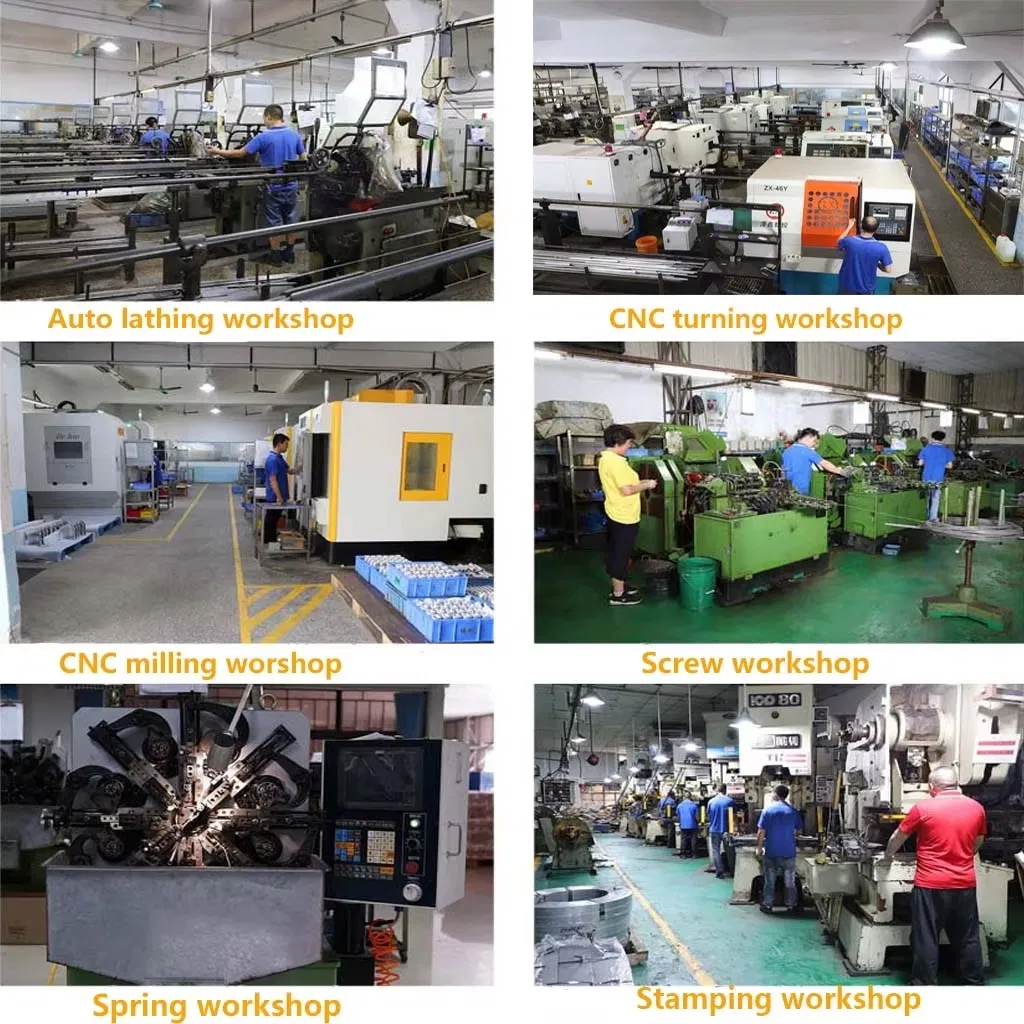 Basic Information Visual