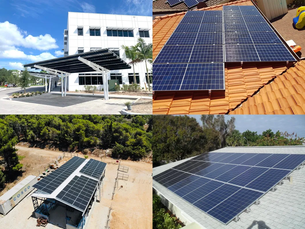 Solar Project Case