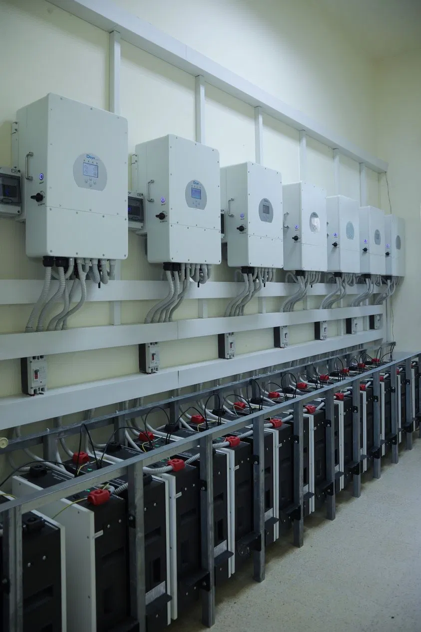 High Performance Full-Bridge Type 5 Years off Grid Solar Micro Power Inverter