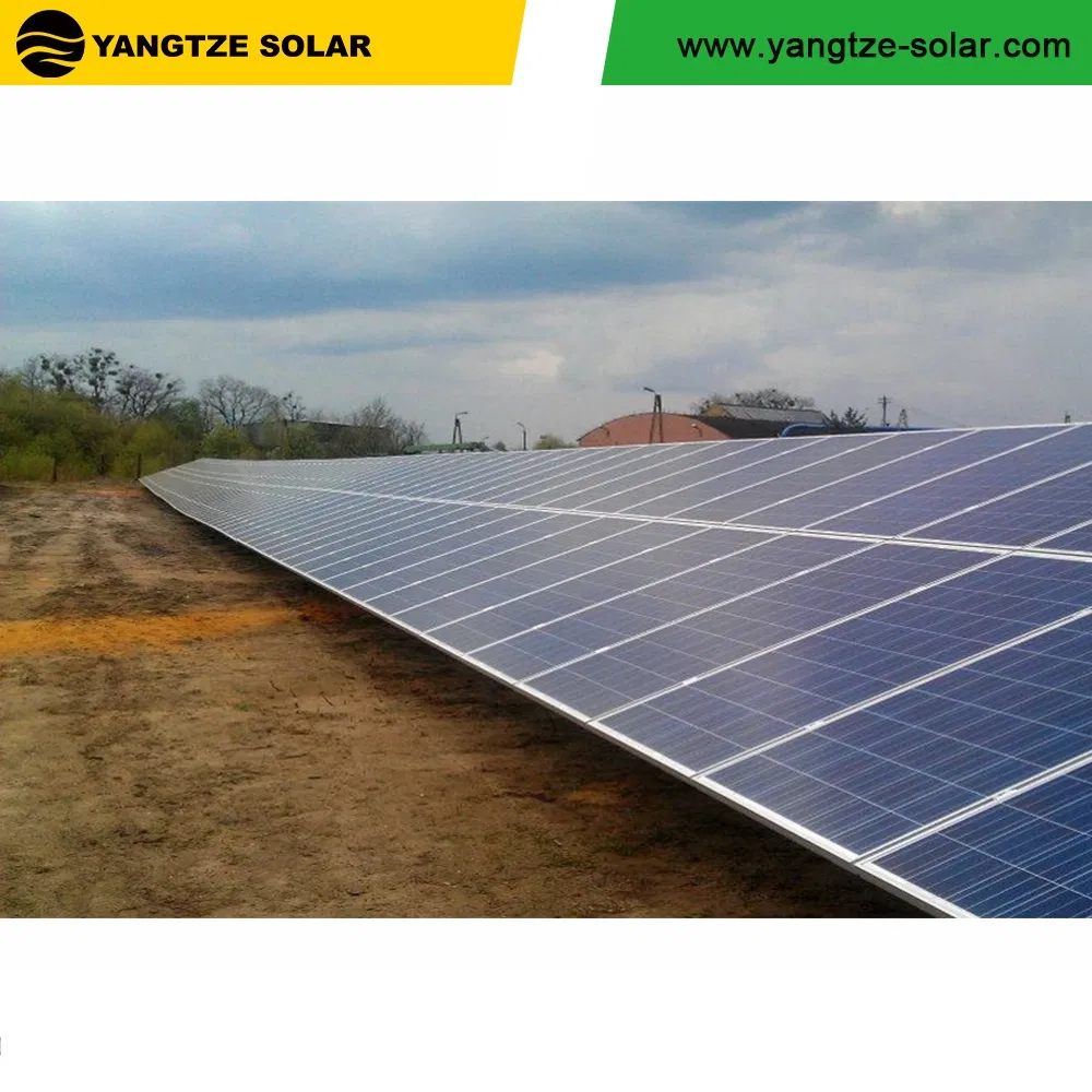 Yangtze PV Photovoltaic Polycrystalline Monocrystalline Power Solar Panel