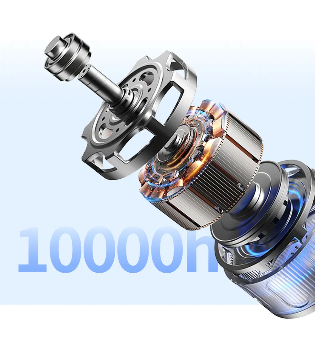 Brushless Motor Detail