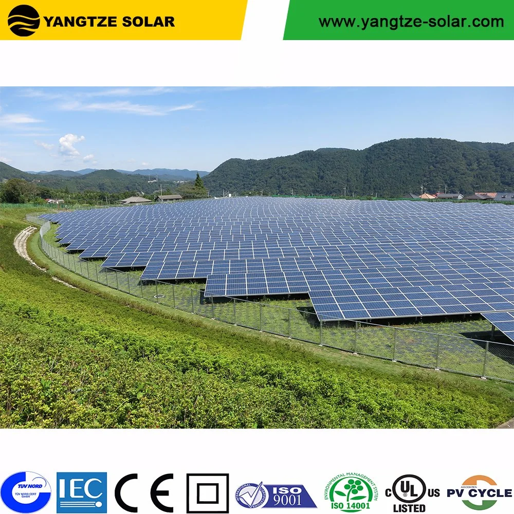 Yangtze PV Photovoltaic Polycrystalline Monocrystalline Power Solar Panel