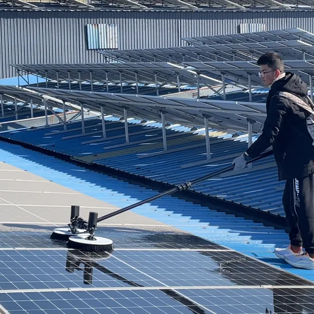 Solar Cleaning Detail 1