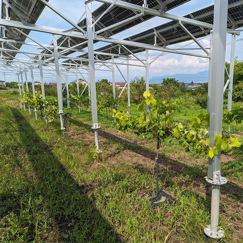 Best Price Aluminum Solar Panel Mounting Racking System Solar Ground Mounting System