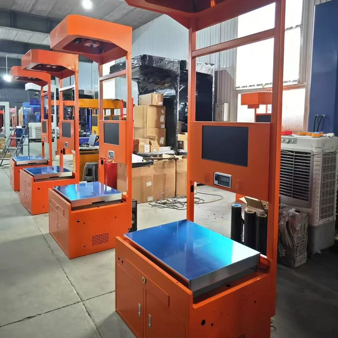 Truelisort Automatic Logistic E-Commerce Warehouse Scanner Dynamic Dws System