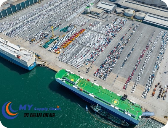 Affordable Sea Shipping Solutions From Ningbo to Djen Djen &amp; Dammam