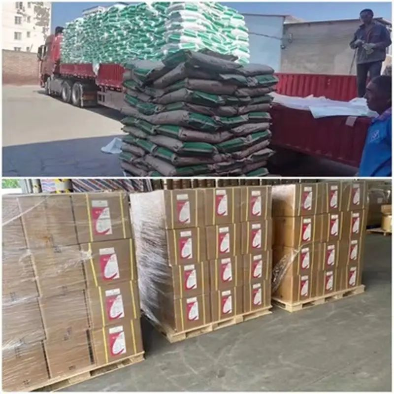 DDP Railway Land Forwarding From China to Burgas, Sofia, Ruse, Varna, Bulgaria