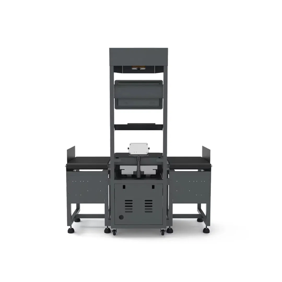 Scan Dimension Weight Dws Belt Conveyor Line Express Logistic System