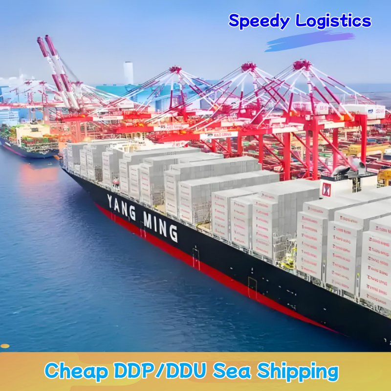 Sea Shipping Agent to Cambodia, Spain, Germany, Thailand, Brazil, Malaysia Logistics Shenzhen Warehouse Freight Forwarder Agent Forwarding Service