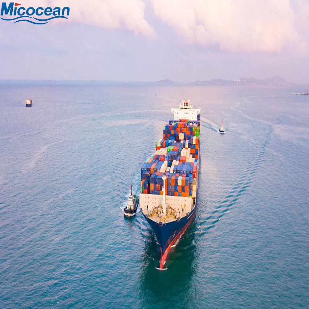 Consolidation Shipping Freight Service Ageny From Guangzhou/Shanghai/Shenzhen/Ningbo to Johannesburg