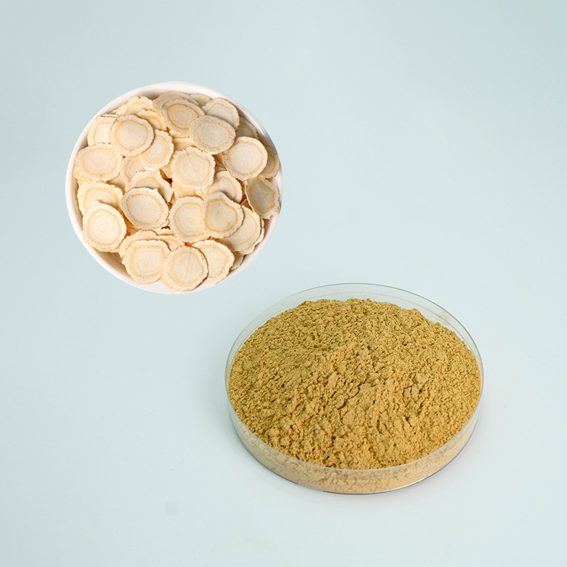 Runqian Food Grade High Quality Ginseng Saponins Powder Supply