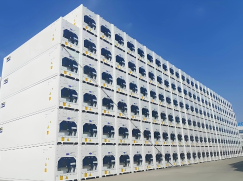 Reefer Container Shipping From Shantou to Mexico Temperature-Controlled Cargo