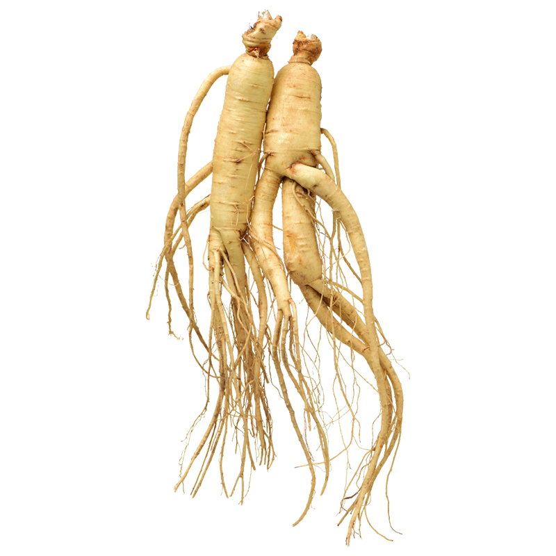 Runqian Food Grade High Quality Ginseng Saponins Powder Supply