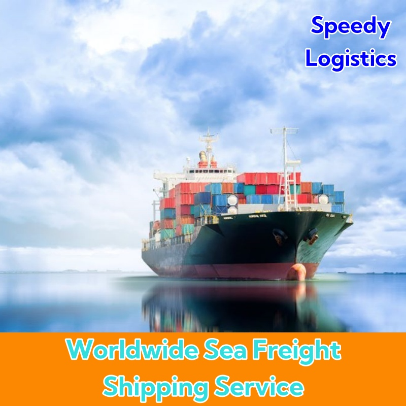 Sea Shipping Agent to Cambodia, Spain, Germany, Thailand, Brazil, Malaysia Logistics Shenzhen Warehouse Freight Forwarder Agent Forwarding Service
