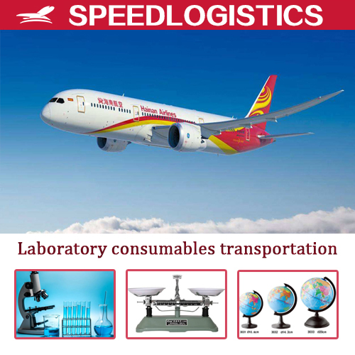 Best Price China Air Shipping Service Agent Logistics to Poland Amazon Warehouse Freight Forwarding