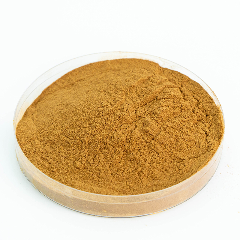 Runqian Organic Reishi Extract Polysaccharides Ganoderma Lucidum Brown Powder
