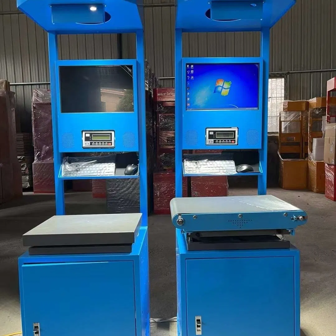 Truelisort Advanced Logistics Inspection Equipment for Automated Dws Scanning Weighing System