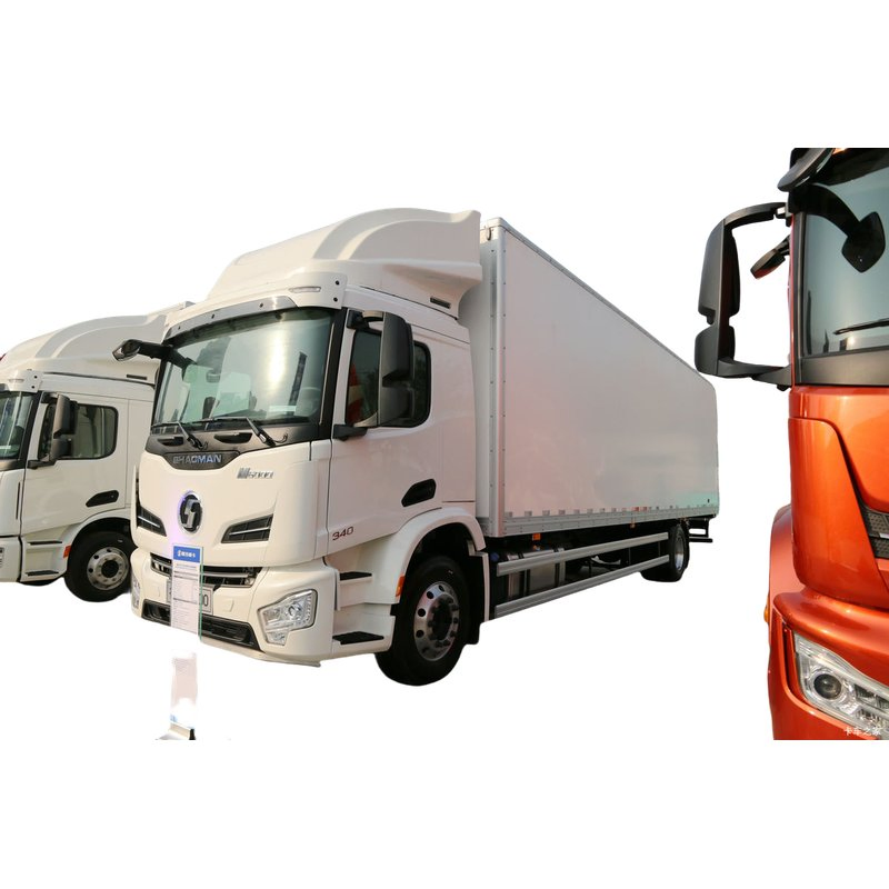 Shacman 5m³ Light Urban Truck Logistics Vehicle with Diesel Engine, 4X2
