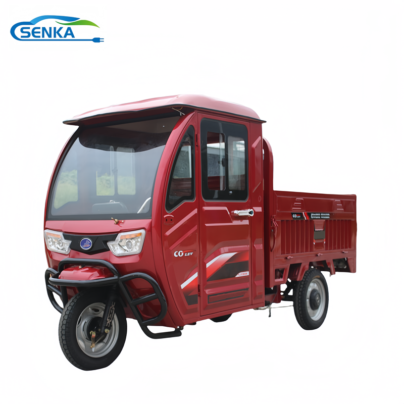 Senka Good Price Electric Cargo Tricycle for Delivery Service