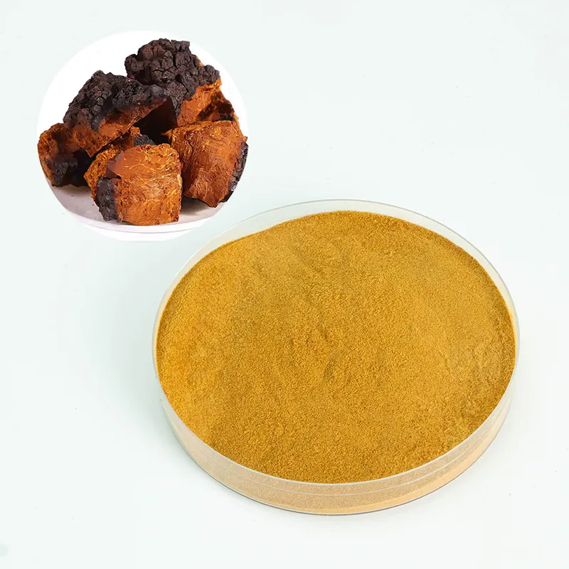 Chaga Mushroom Extract