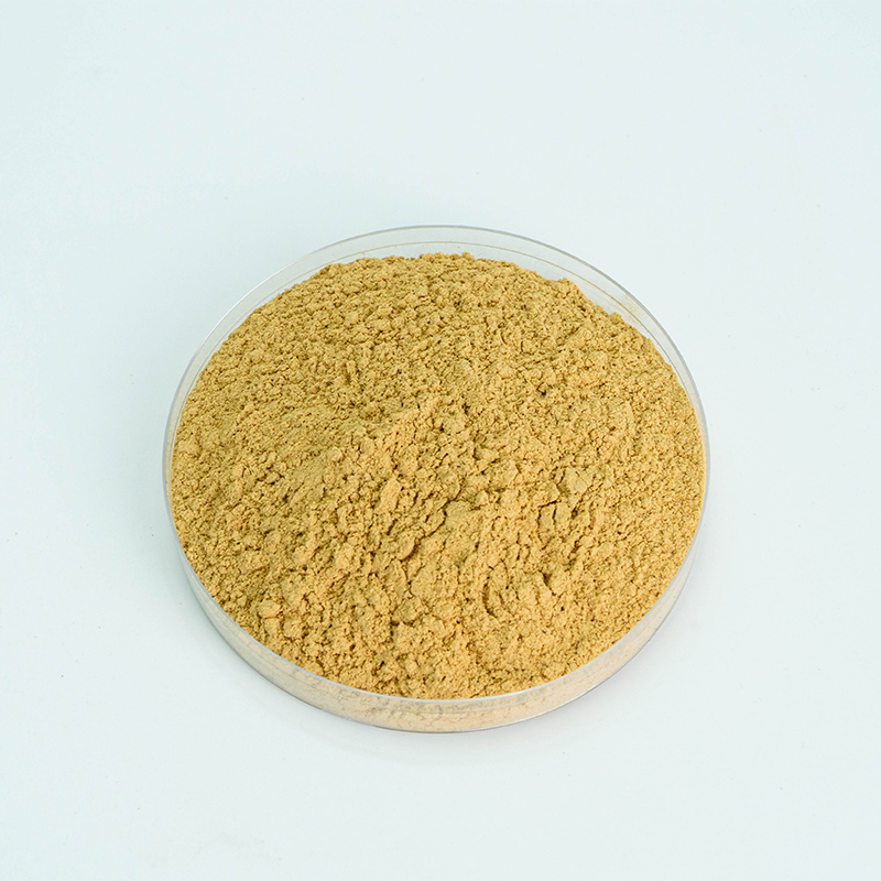 Runqian Food Grade High Quality Ginseng Saponins Powder Supply
