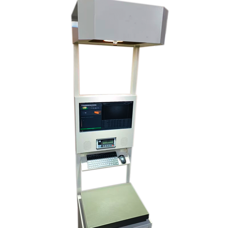 Truelisort Smart Logistics Data Collection Equipment for Parcel Handling Dws System