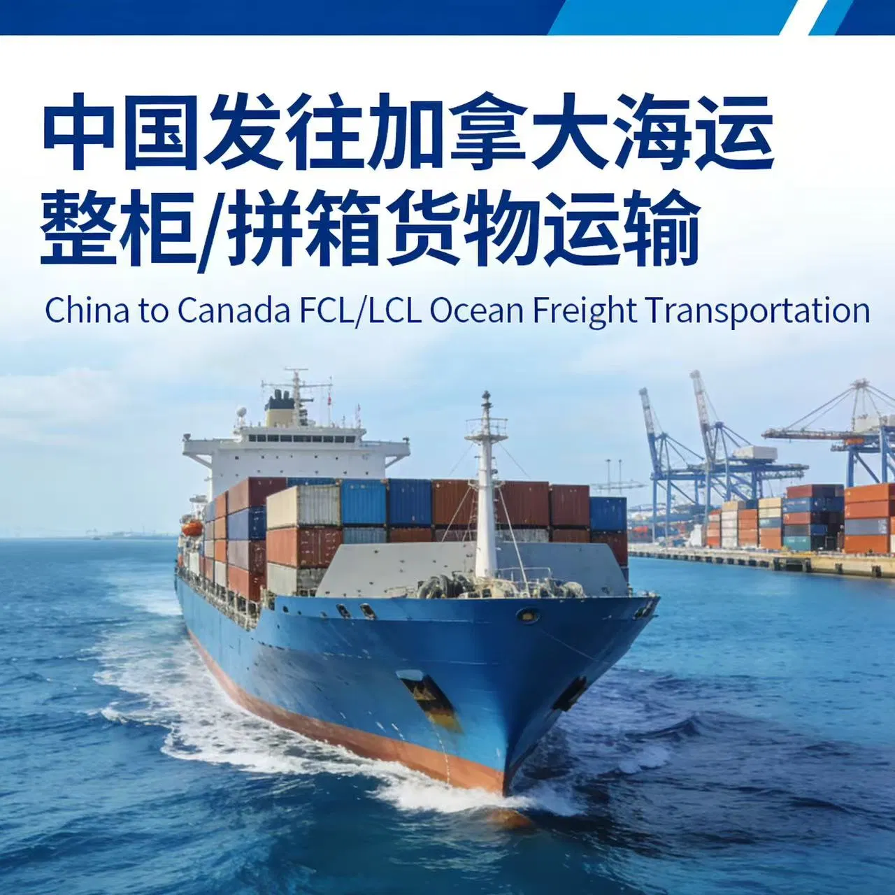 China to Canada Sea/Air Freight DDP/Dduinternational Freight Forwarding Agency