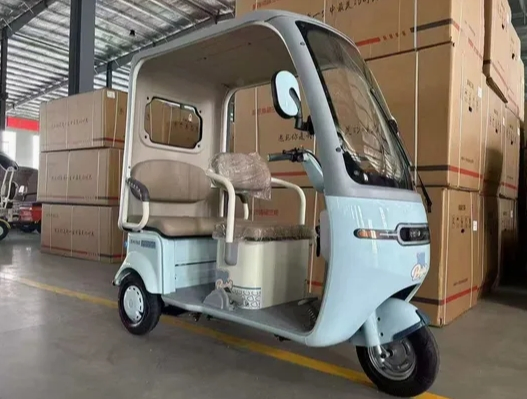 Wanhao Durable 60V 1000W Electric Tricycle with Spacious Cargo Area