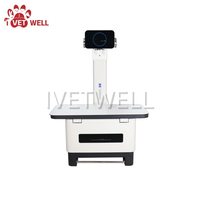 Efficient Animal Digital X-ray System for Veterinary Practices