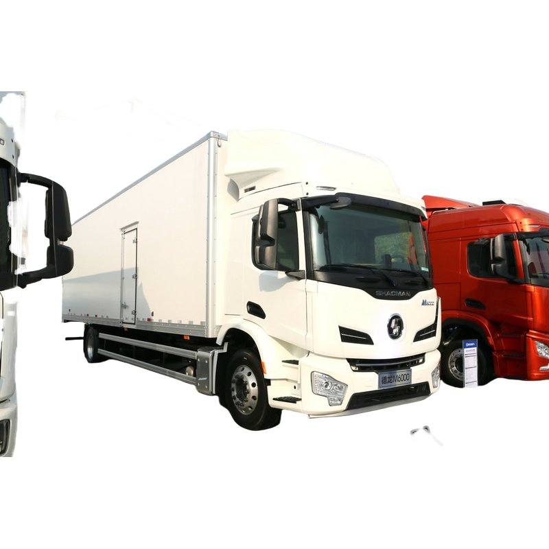 Shacman 5m³ Light Urban Truck Logistics Vehicle with Diesel Engine, 4X2