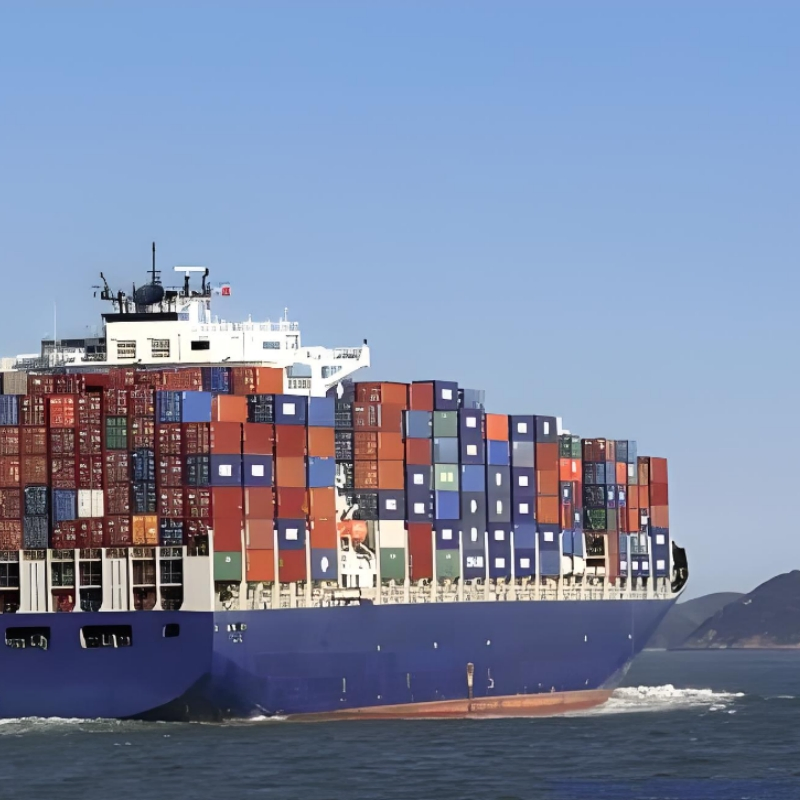 Clothes Sea Shipping Freight Forwarder to Brazil, Germany with Professional Service