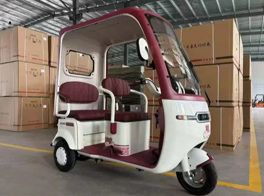 Wanhao Durable 60V 1000W Electric Tricycle with Spacious Cargo Area