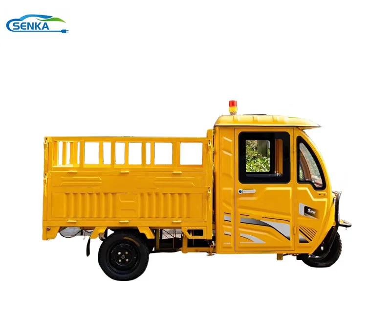 Delivery Service Tricycle