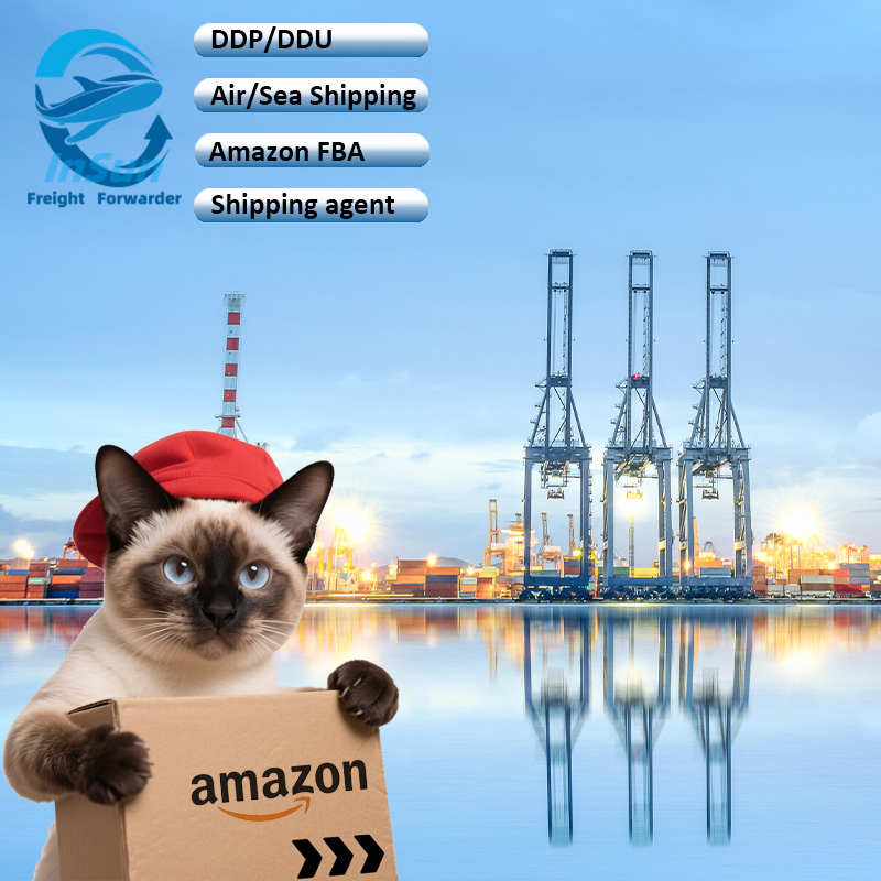 Best Price CIF/DDP/DDU Air/Sea Freight Forwarding From China to France United Kingdom Europe