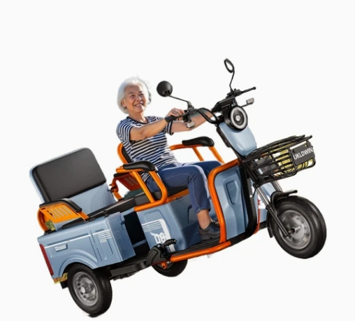 Wanhao 60V Power Max Speed 40km/H Long Charge Electric Tricycle