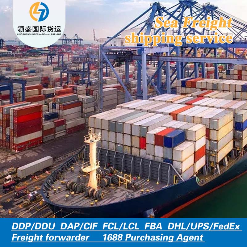 China to Indonesia Sea Freight Forwarding DDP Logistics Transportation: Competitive Freight Rates
