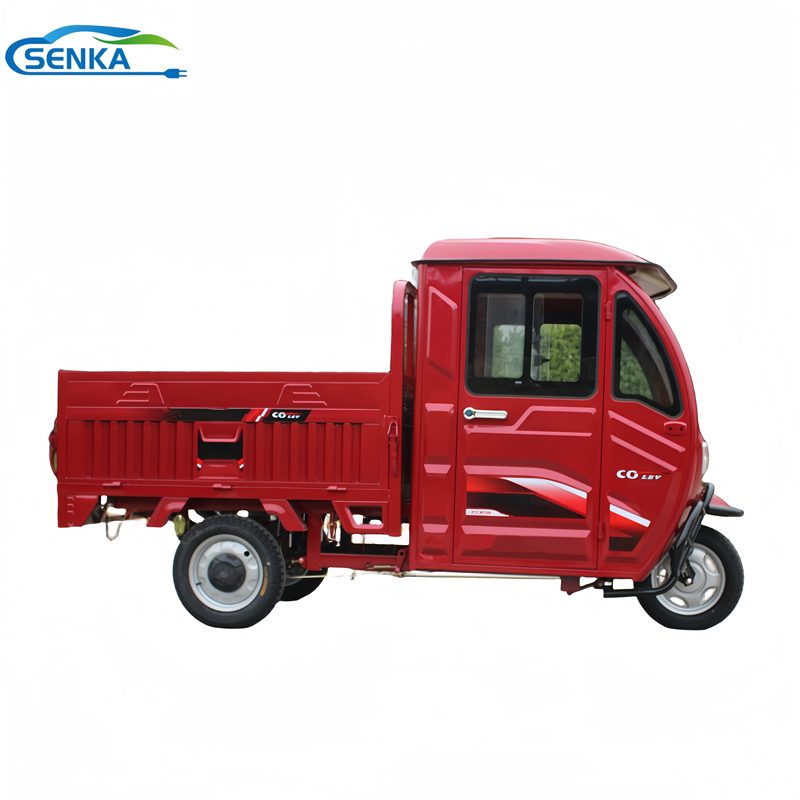 Senka Good Price Electric Cargo Tricycle for Delivery Service
