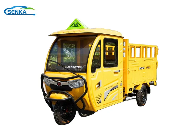 Electric Cargo Tricycle