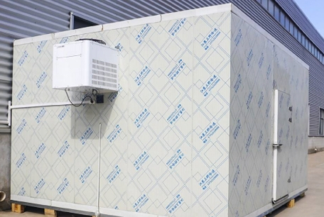 Automatic Defrost Cold Storage System with Smart Control