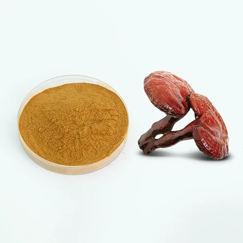 Organic Reishi Extract
