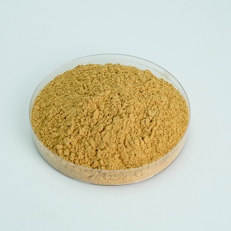 Runqian Food Grade High Quality Ginseng Saponins Powder Supply