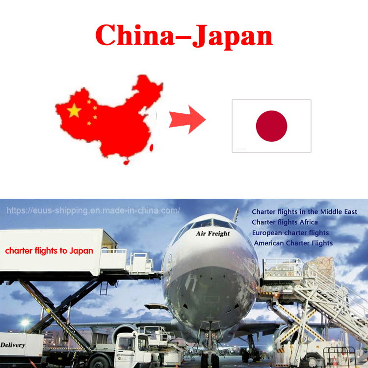 Logistics Freight Forwarder for LCL/FCL/Airfreight Double Clearance to Japan Shipping