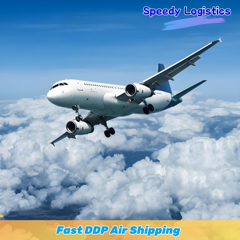 Sea Cargo Shipping Agent Freight Forwarder Shipping to India, USA, UK Worldwide Shipping Service