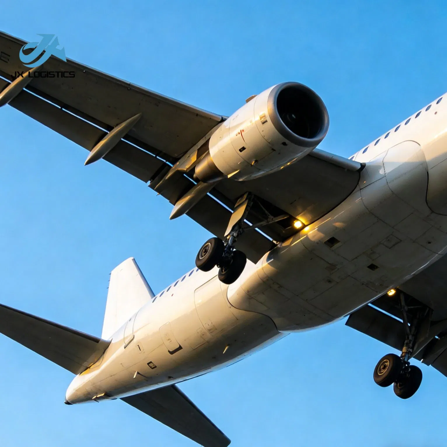 Temperature Controlled Air Freight for Perishable Goods