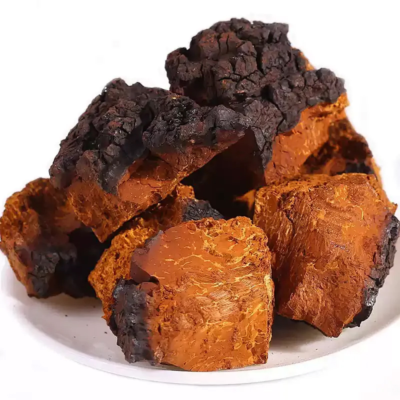 Food Grade Chaga Polysaccharide Extract for Health Supplements